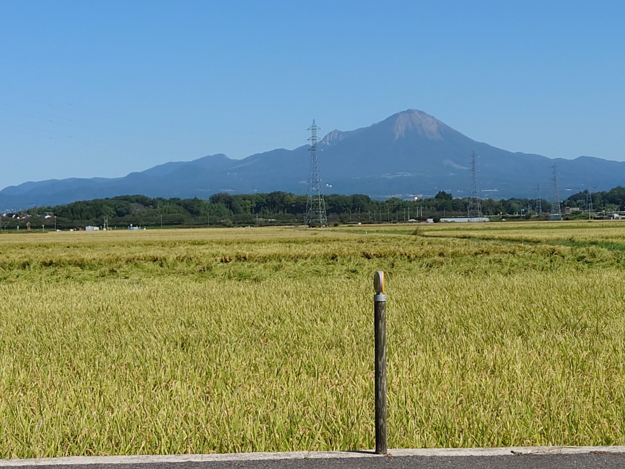 10月になりました